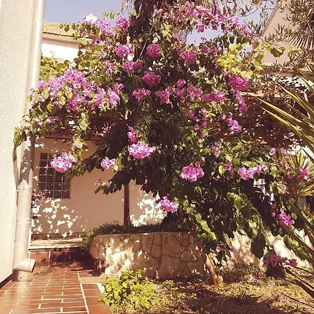 Vinka Apartament Biograd Na Moru