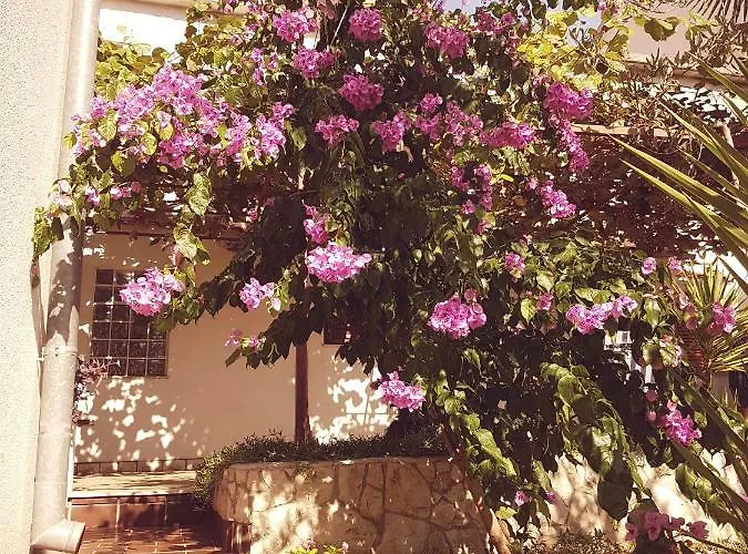 Vinka Apartman Biograd Na Moru